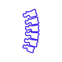spine
